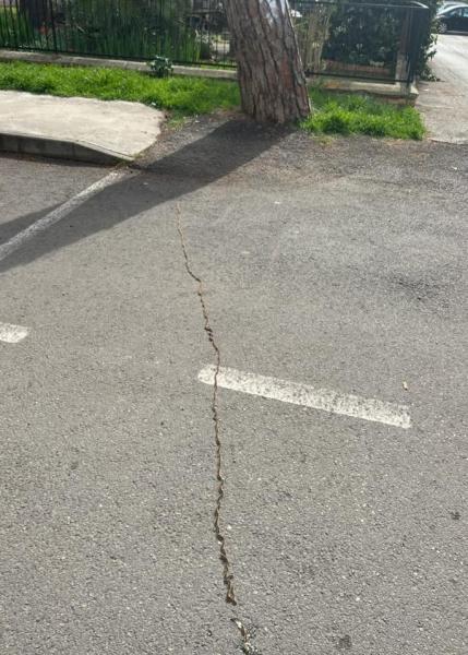 Processionaria lungo via Tripoti nel quartiere della Gammarana - Foto