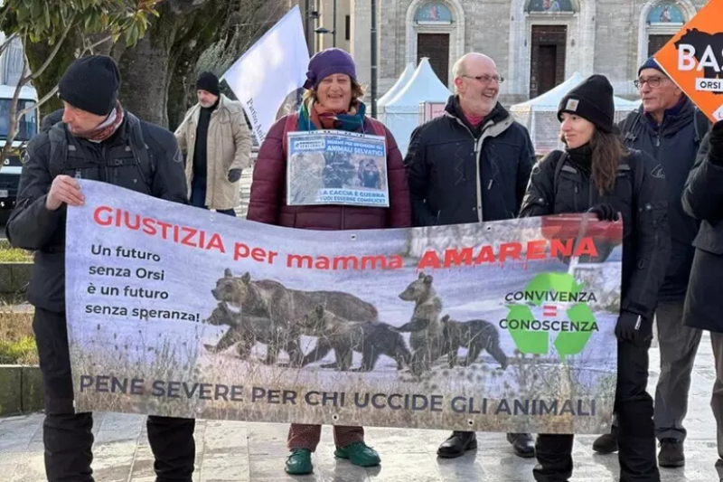 Omicidio dell'orsa Amarena. Processo ad Andrea Leombruni: fissata l'udienza per il 24 giugno - Foto