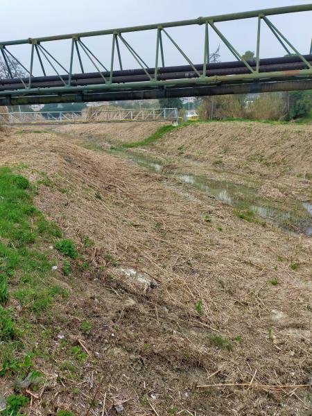 FDI Pineto. Appello a Verrocchio sulla situazione preoccupante del Torrente Calvano - Foto