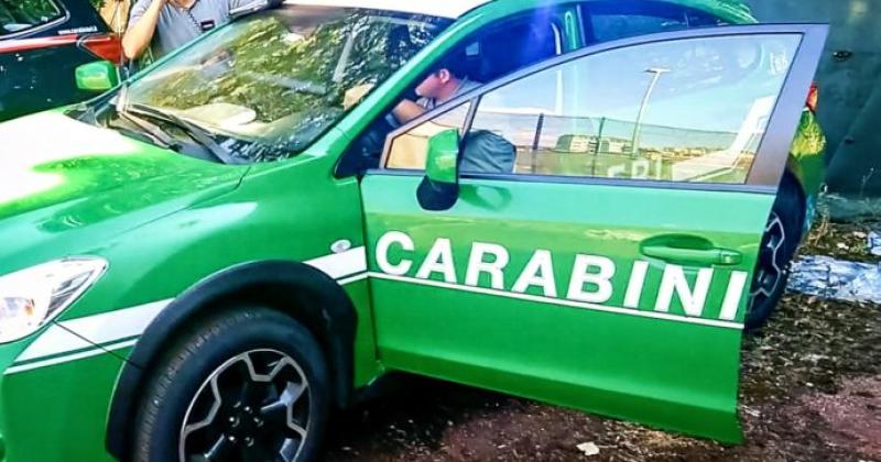 Torricella, per il cane ucciso impiccato c'è un indagato. I carabinieri forestali condannano ogni gesto cruento - Foto