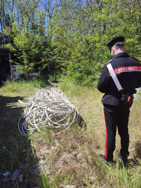 Tentano di rubare cavi di rame dal depuratore comunale di Villa Rosa - Foto