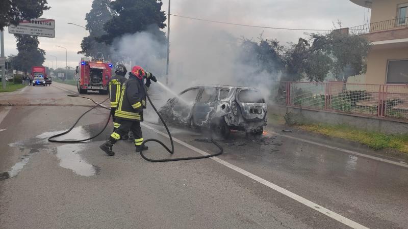 Alba Adriatica. Auto urta contro un cipresso e prende fuoco - Foto