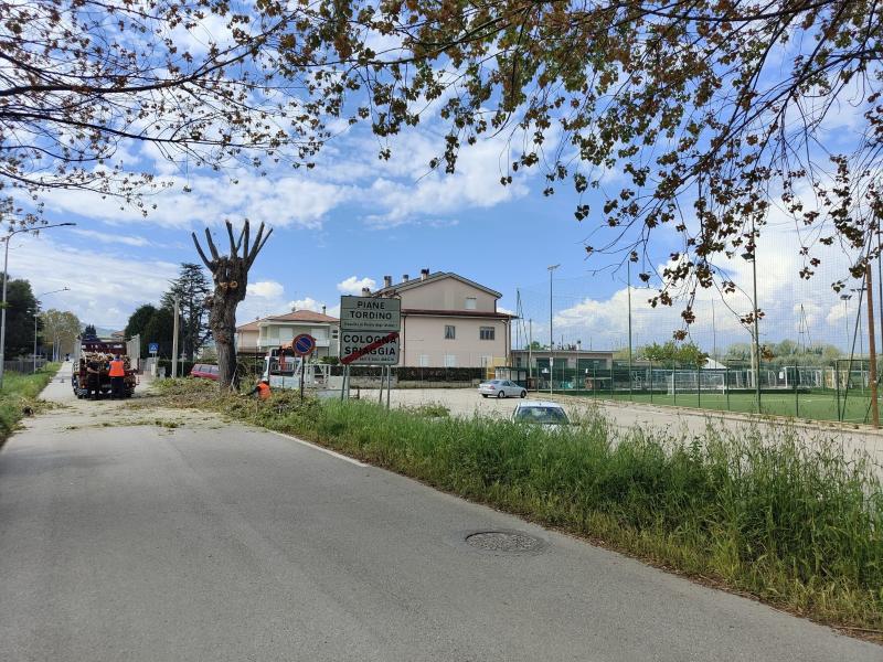 Manutenzione ordinaria sulla SP 20 tra Cologna Spiaggia e Piane Tordino - Foto