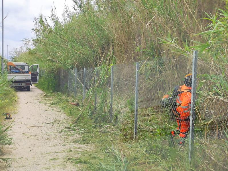 Roseto. Partiti gli interventi di manutenzione della scarpata ferroviaria - Foto