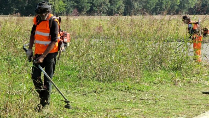 Pineto. A breve verrà riprogrammato lo sfalcio dell'erba - Foto