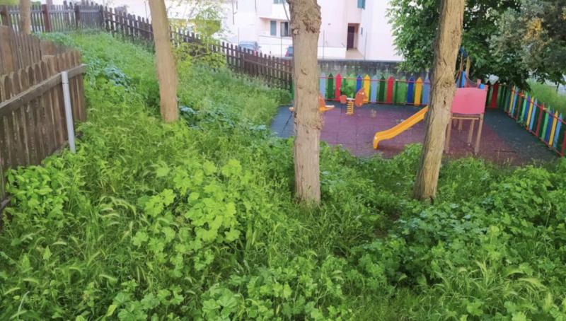 Insieme per Nereto: «Nella scuola dell'infanzia verde incolto e rifiuti abbandonati» - Foto