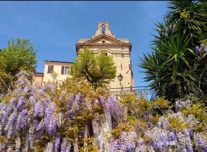 Sant'Omero. Il Comitato del centro storico chiede un incontro al sindaco per attenzionare il borgo - Foto