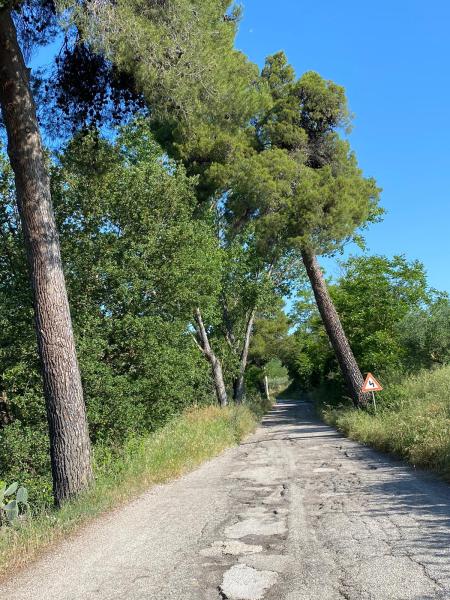 FDI Mosciano: “il Comune faccia più attenzione alle condizioni delle strade” - Foto