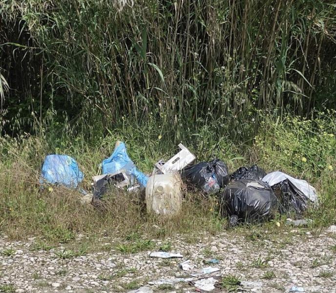 Legambiente. Stato di abbandono e pericolosità sulle sponde del fiume Vomano - Foto