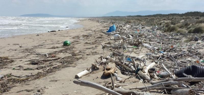 Spiaggiamento dei rifiuti lungo la costa: Pepe presenta una risoluzione in Regione - Foto