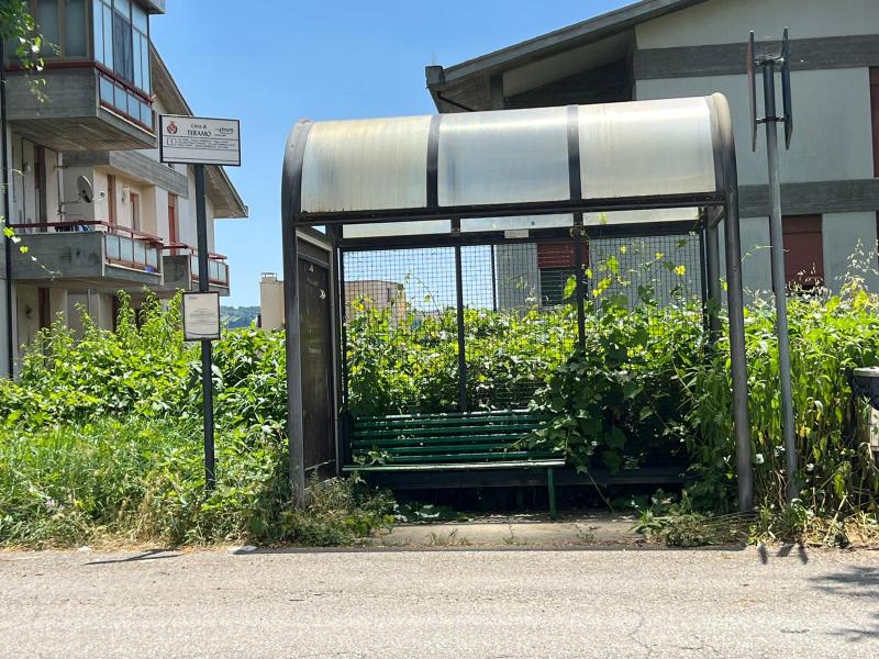 Luca Corona (FDI Teramo): “verde,  decoro  urbano,  degrado,  sicurezza  stradale, solo pubblicità per D’Alberto” - Foto