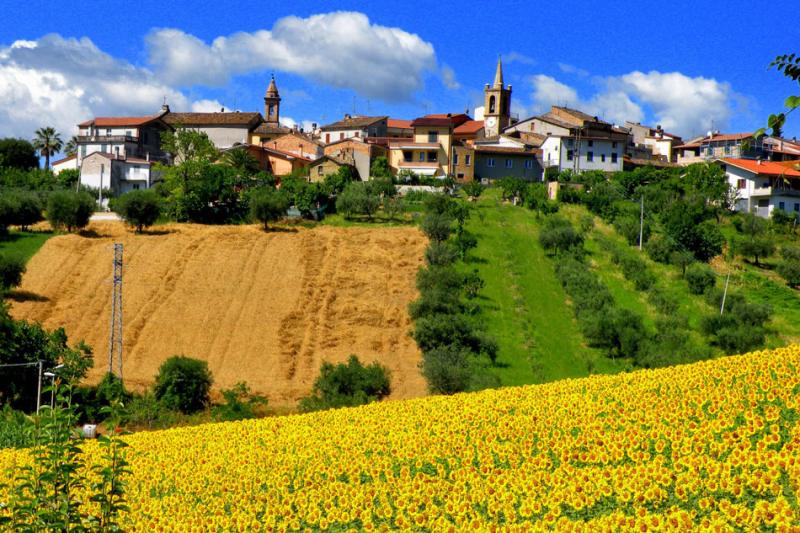 TEDx Torano Nuovo. Il 22 luglio, in Val Vibrata "spazio alle idee che vale la pena diffondere" - Foto