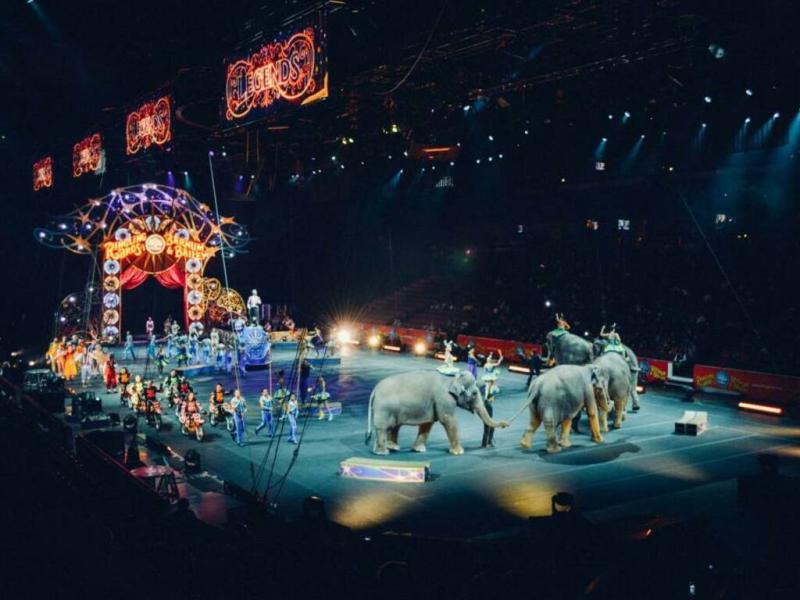 Roseto. Il Comune non rilascia l’autorizzazione per lo spettacolo del circo con animali - Foto