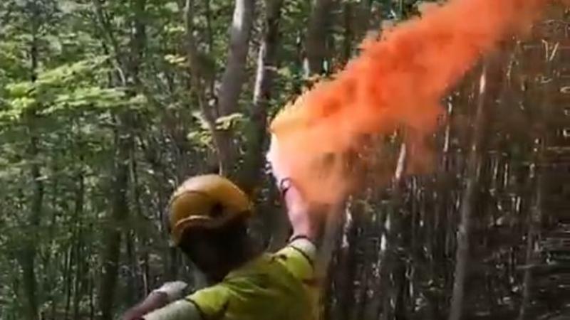 Crognaleto. 81enne ha un malore mentre è a funghi con due amici - Foto