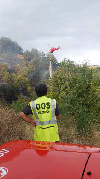 Scoppia incendio in un bosco di Cellino Attanasio - Foto