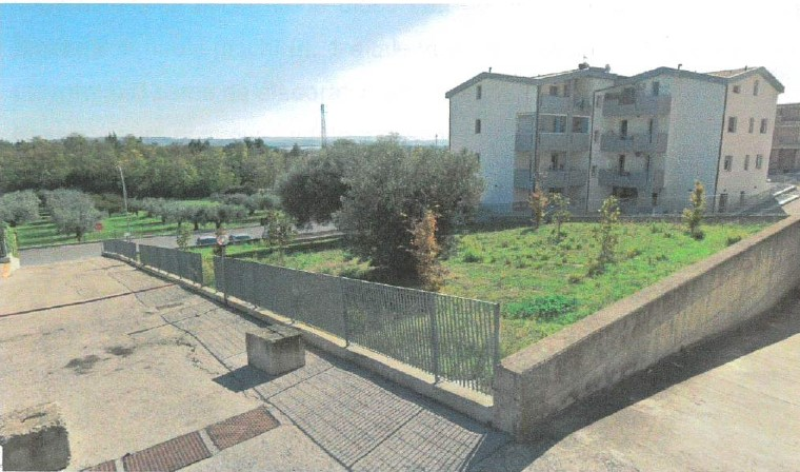 San Salvo. Riqualificazione per il nuovo parco giochi in via San Pio - Foto