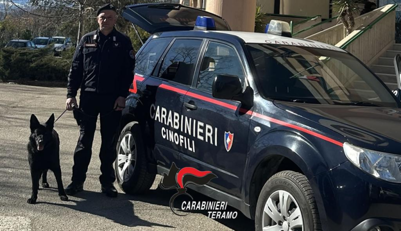 Alba Adriatica. Denunciato un uomo trovato con cocaina e marijuana grazie al cane Bagheera - Foto