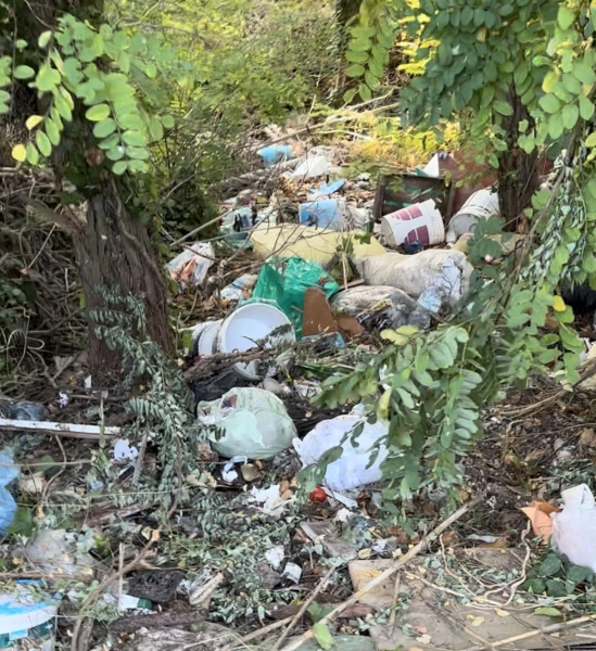 A Colonnella una discarica a cielo aperto lungo via Fonte Armata - Foto