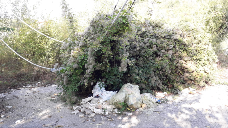 In zona Cona una pianta a terra tra i fili travolti di un traliccio e ammassi di spazzatura - Foto