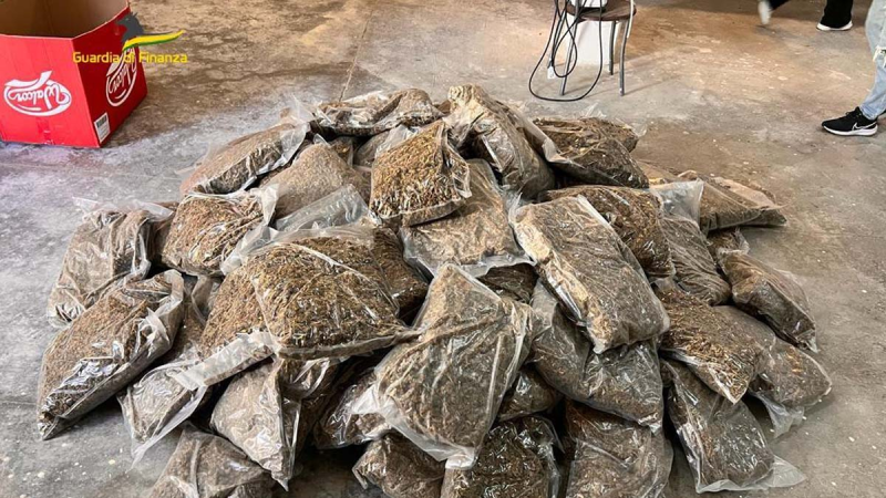 A Roseto maxi sequestro di 150 chili di cannabis - Foto