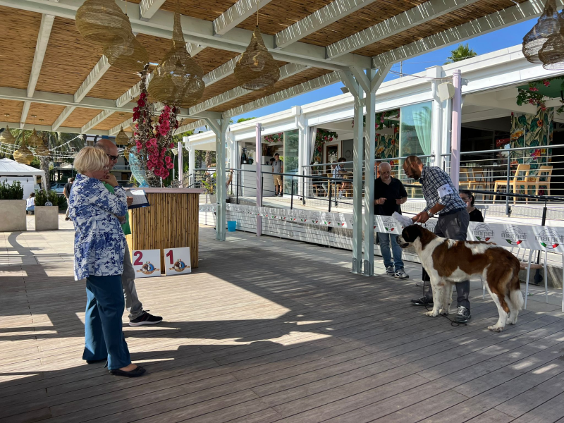 Roseto. Provenienti da tutta Italia per la sfilata del San Bernardo - Foto