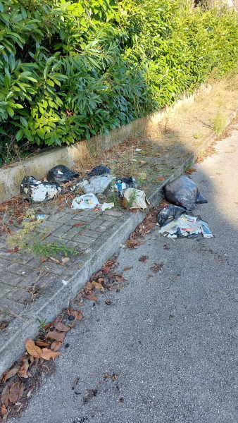 I marciapiedi selvaggi di due vie di San Nicolò tra erbaccia incolta e rifiuti abbandonati - Foto