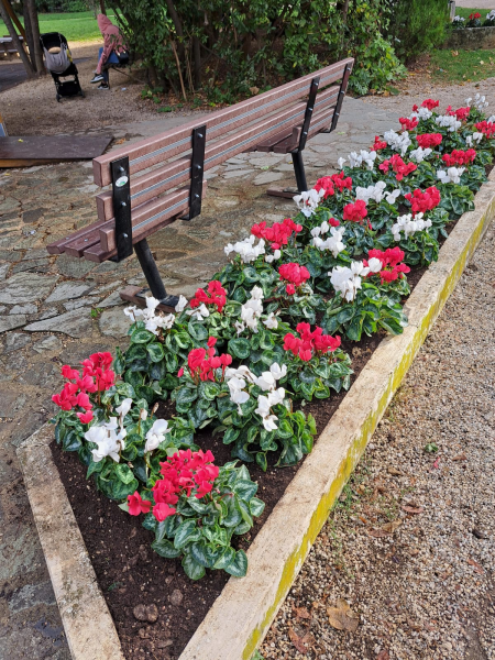 La Villa Comunale di Teramo si colora di fiori - Foto