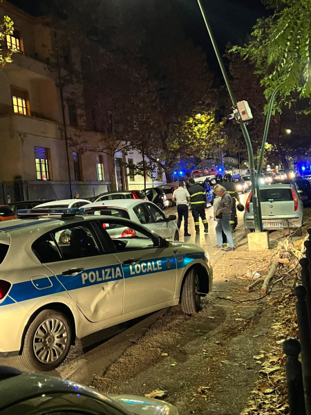 Cadono piante e rami lungo viale Bovio: traffico bloccato - Foto