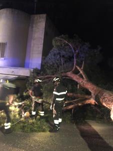 Maltempo. A Silvi cadono parti della facciata di un hotel e le piante bloccano le strade - Anteprima Youtube