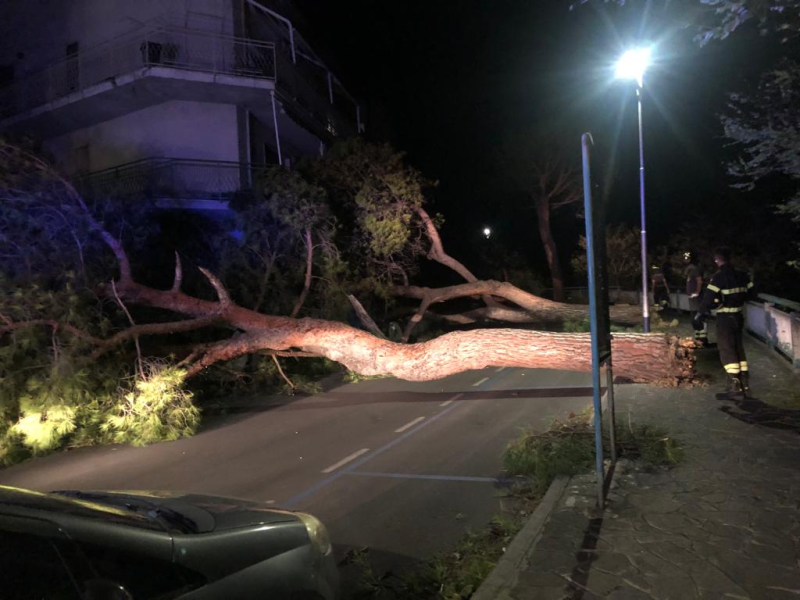 Maltempo. A Silvi cadono parti della facciata di un hotel e le piante bloccano le strade - Foto