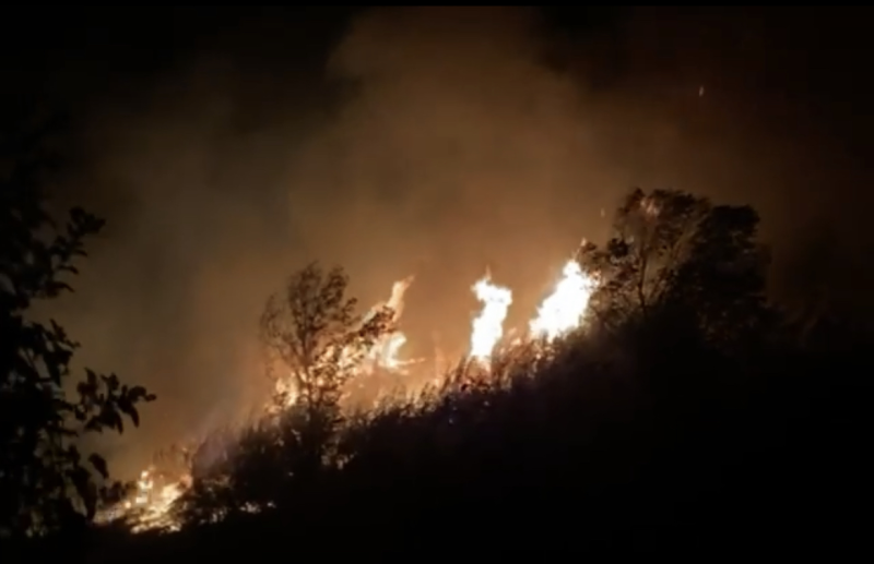 A fuoco una zona di campagna tra Bellante e Mosciano - Foto