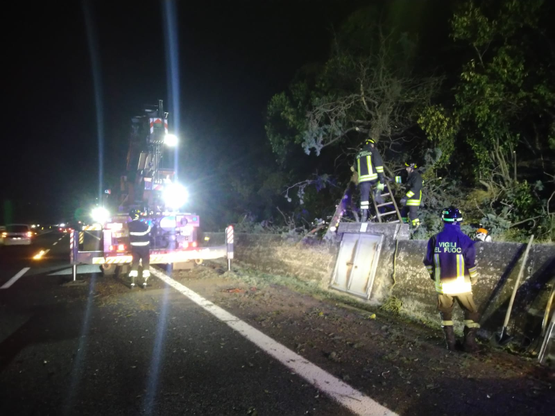 Maltempo. Cade un albero sulla carreggiata sud dell'A14 in prossimità dell'uscita di Mosciano - Foto