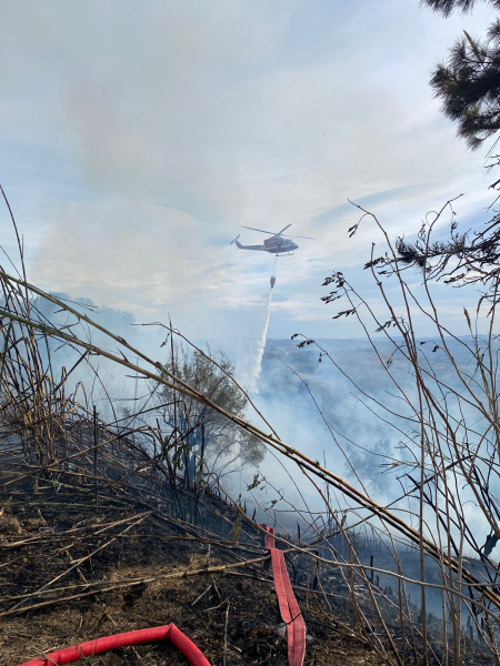 Bellante. Va a fuoco un ettaro di terreno vicino al campo sportivo - Foto