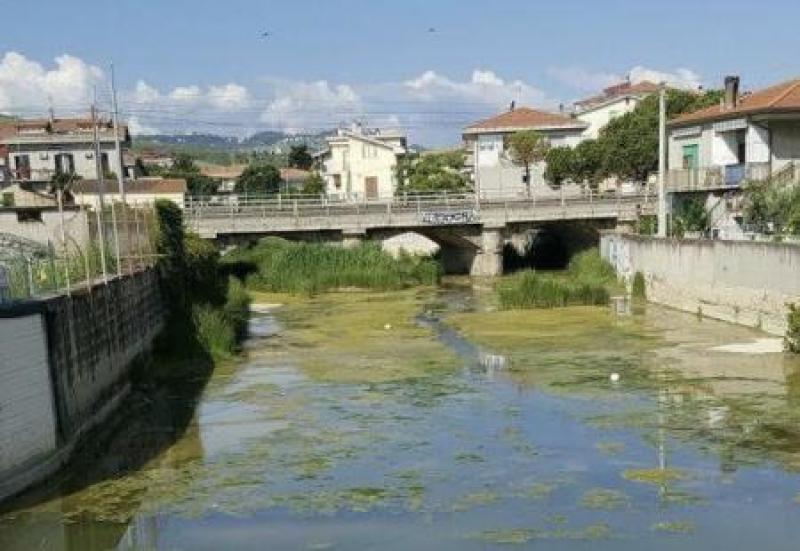 Pineto. Affidati i lavori per la pulizia del torrente Calvano - Foto