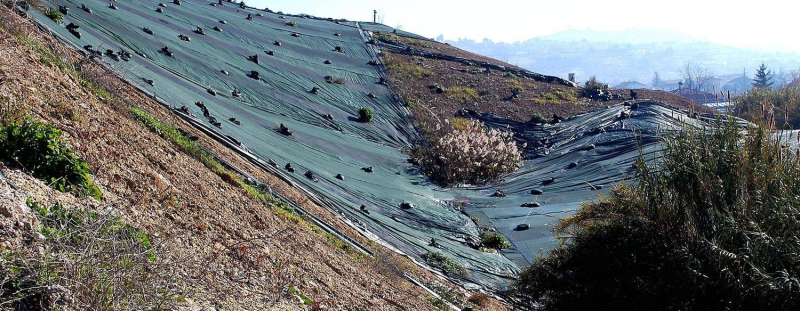 Discarica Villa Carmine. Dalla Regione 1.8 mln per messa in sicurezza d’emergenza - Foto