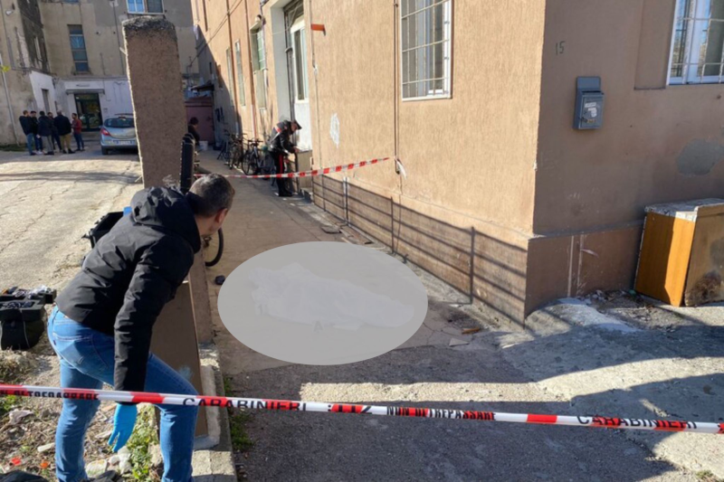 Pescara. Mistero sul bengalese trovato morto per strada - Foto