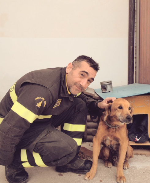 I vigili del fuoco di Teramo salvano alcuni cani rimasti intrappolati - Foto