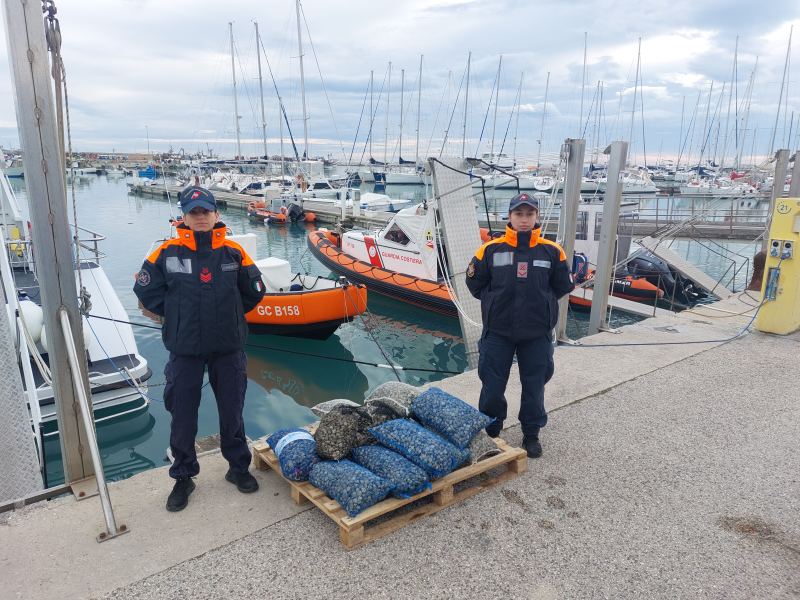 150 chili di vongole destinate al mercato nero sequestrate dalla Guardia Costiera di Giulianova - Foto