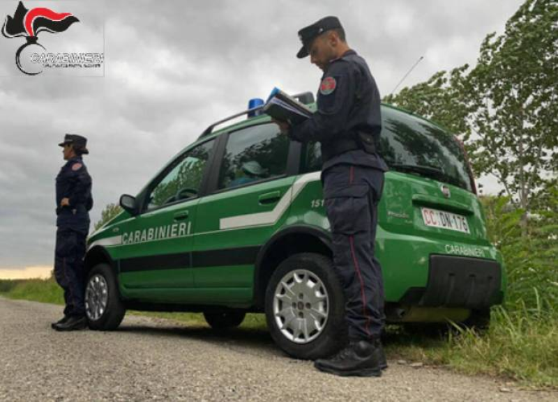 Castel del Monte. Scaricava le acque reflue della sua attività nei terreni del Parco Nazionale - Foto