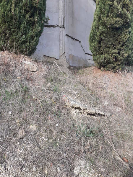 L'incuria nel cimitero di Sant'Omero segnalata dai cittadini - Foto