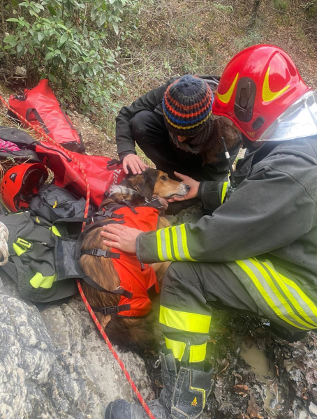 I vigili del fuoco salvano un cane scivolato durante un’escursione a Civitella - Foto