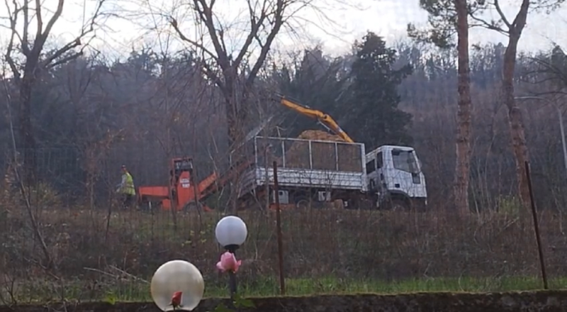 VIDEO - Teramo. Lavori di pulizia degli alberi da più di 7 giorni, i residenti: «Un rumore costante» - Foto