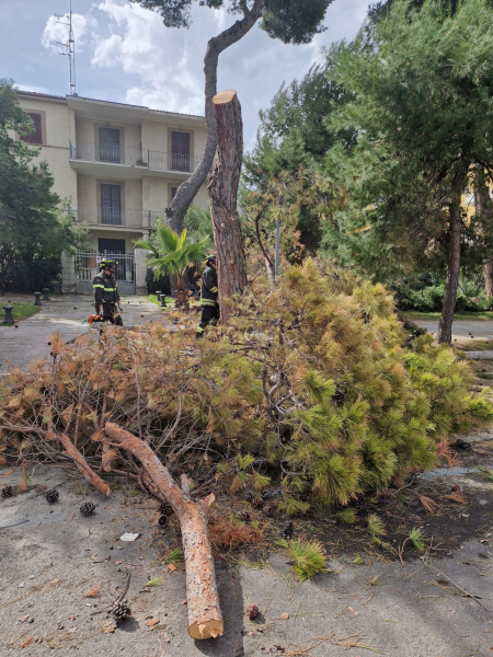 Si rompe una condotta idrica nell'Hotel Liberty di Roseto: si allaga la zona e crolla un pino - Foto