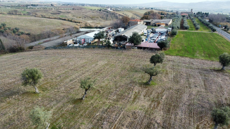 Pneumatici, olio esausto, un impianto di autodemolizioni abusivo: sequestrato un terreno da 8500mq - Foto