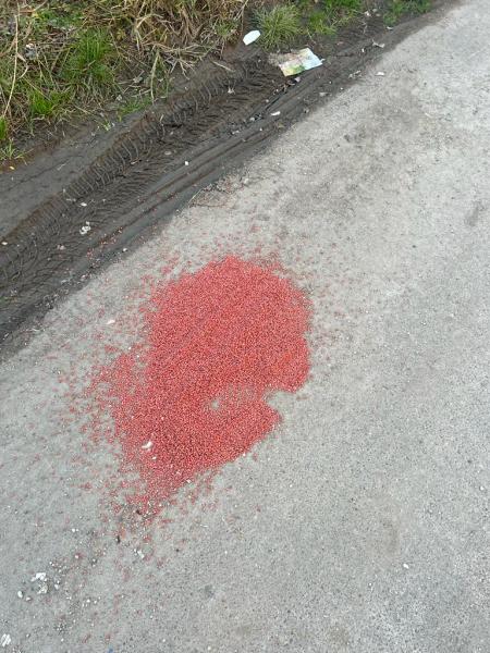 Grano avvelenato lungo via Galilei a San Nicolò a Tordino - Foto