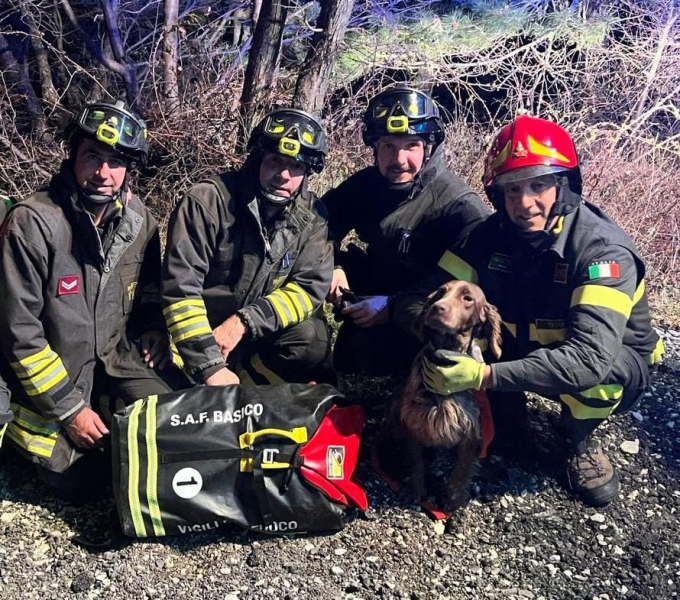 Valle Castellana. I vigil del fuoco salvano il segugio Tokyo finito in un cunicolo - Foto