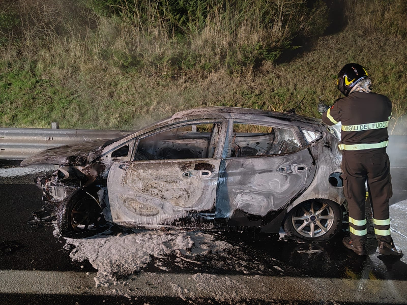 Investe quattro cinghiali in A24 nel comune di Colledara: ferito un 25enne - Foto