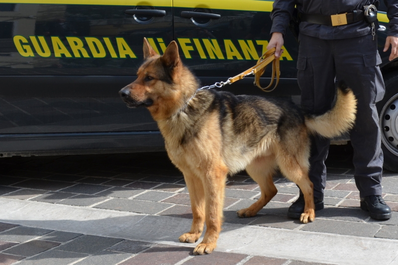 Aveva droga sia in auto che in casa: arrestato un giovane a Giulianova - Foto