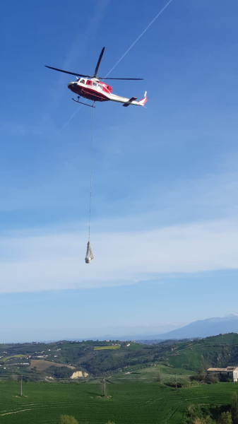 I vigili del fuoco salvano un vitello intrappolato lungo un pendio con l'elicottero - Foto