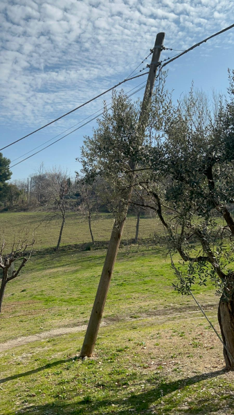 Palo pericolante in proprietà privata: la TIM promette un intervento e poi sparisce - Foto